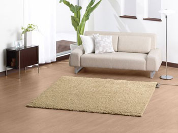 Clean+Green offer essential carpet cleaning tips